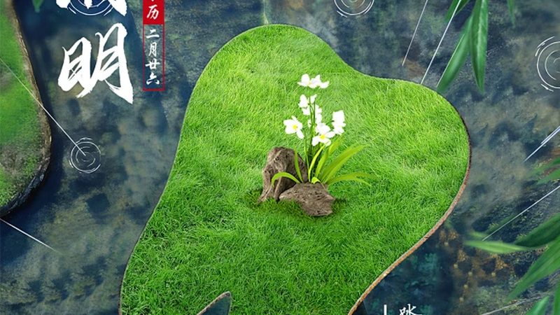 种植牙集采后，费用明细如何看？**